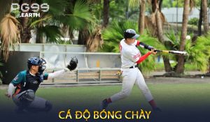 Cá Độ Bóng Chày